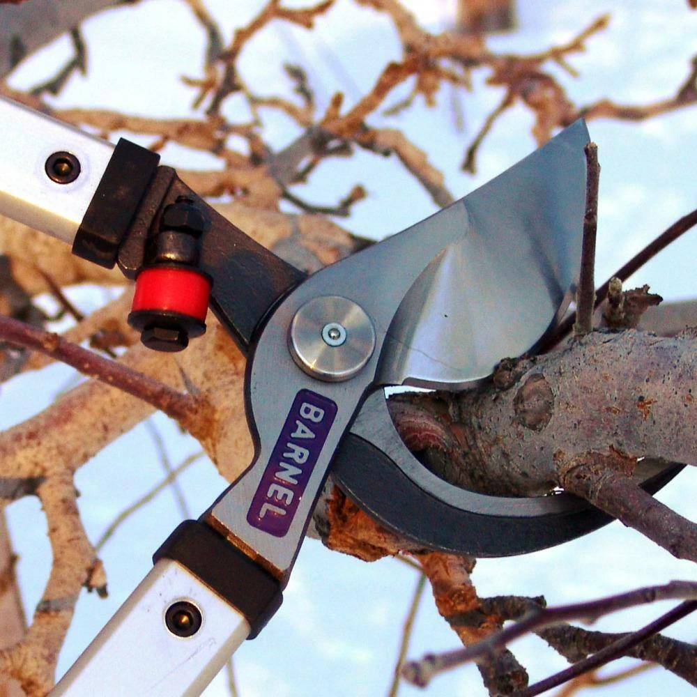 BARNEL USA 26 in. Professional Orchard By-Pass Lopper 4 BARNEL USA 26 in. Professional Orchard By-Pass Lopper - Image 2