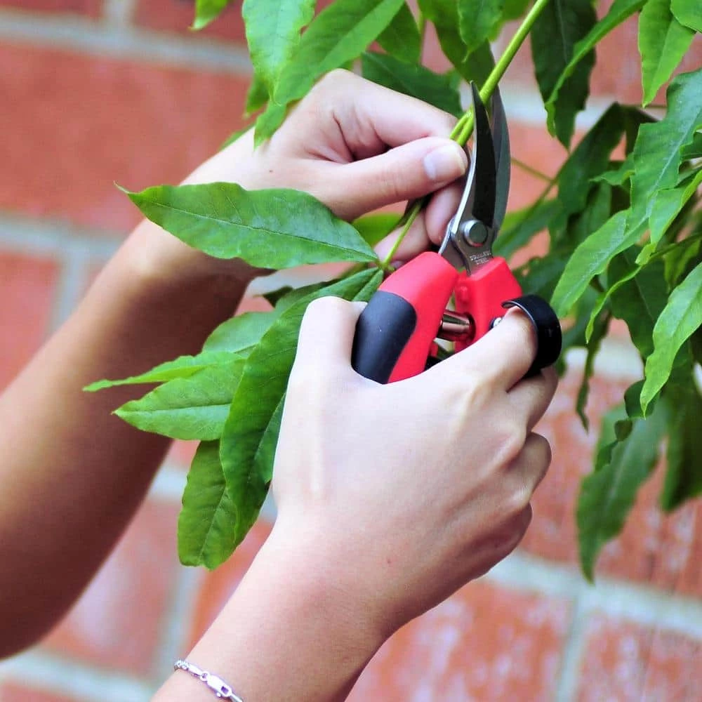 BARNEL USA 6 in. Palm-Fit Ergonomic Saber By-Pass Shear 4 BARNEL USA 6 in. Palm-Fit Ergonomic Saber By-Pass Shear - Image 2