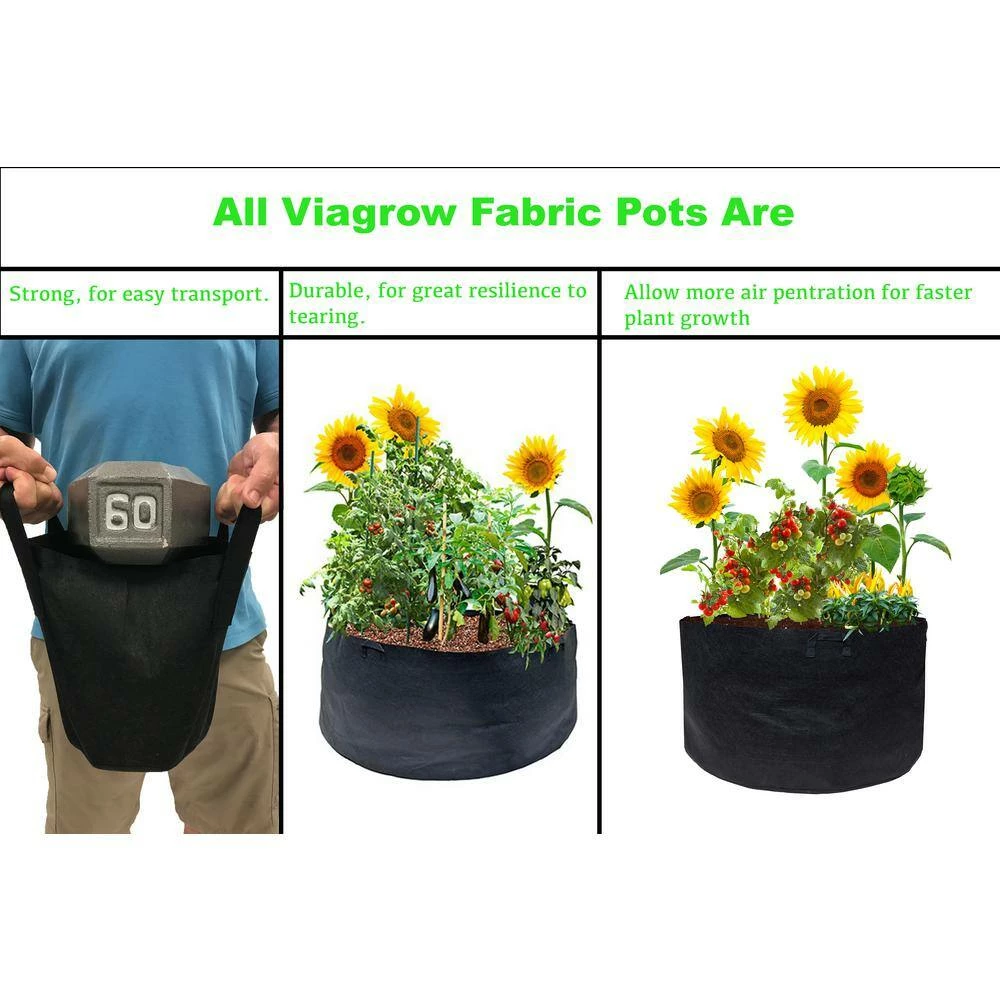 Viagrow 1 Gal. Breathable Fabric Root Aeration Polypropylene Pot with Handles (10-Pack) 7 Viagrow 1 Gal. Breathable Fabric Root Aeration Polypropylene Pot with Handles (10-Pack) - Image 5