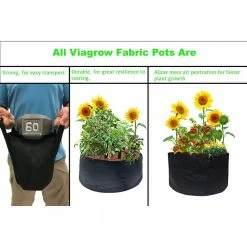 Viagrow 5 Gal. Breathable Fabric Root Aeration Pot With Handles and 12 in. Saucers (10-Pack) 14 Viagrow 5 Gal. Breathable Fabric Root Aeration Pot With Handles and 12 in. Saucers (10-Pack) -VAN ZYVERDEN shop black viagrow grow bags v5gapot 10 kit 1d 1000