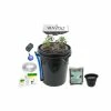 Viagrow Hydroponic 4-Plant Site Deep Water Culture System with 65-Watt LED Grow Light 2 Viagrow Hydroponic 4-Plant Site Deep Water Culture System with 65-Watt LED Grow Light -VAN ZYVERDEN shop black viagrow hydroponic systems v4dwcv100x 64 1000