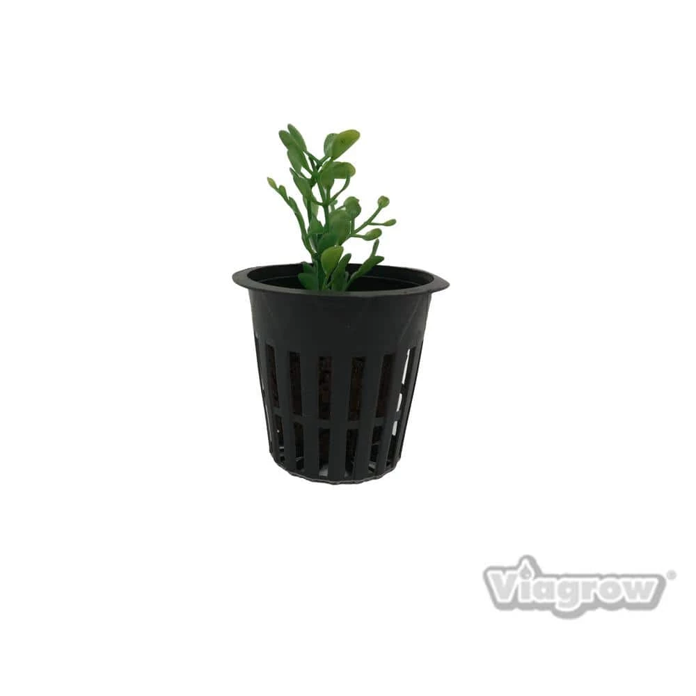 Viagrow 2 in. Black Round Cup with Slotted Black Plastic Mesh Net Pot (50-Pack) 8 Viagrow 2 in. Black Round Cup with Slotted Black Plastic Mesh Net Pot (50-Pack) - Image 6