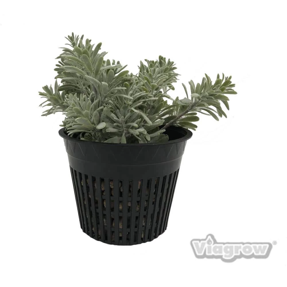 Viagrow 5 in. Black Round Cup with Slotted Black Plastic Mesh Net Pot (25-pack) 8 Viagrow 5 in. Black Round Cup with Slotted Black Plastic Mesh Net Pot (25-pack) - Image 6