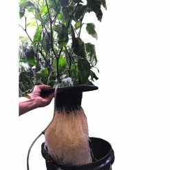 Viagrow 6 in. Black Mesh Pot Bucket Lid Insert -VAN ZYVERDEN shop black viagrow net pots v6ml 44 1000