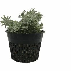 Viagrow 6 in. Black Round Cup with Slotted Black Plastic Mesh Net Pot (25-pack)