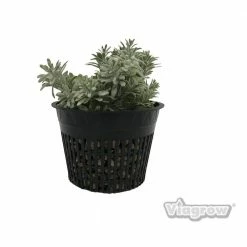 Viagrow 6 in. Black Round Cup with Slotted Black Plastic Mesh Net Pot (25-pack) -VAN ZYVERDEN shop black viagrow net pots v6net 25 66 1000