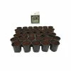 Viagrow 2 Qt. Plastic Nursery Trade Pots with Coconut Coir Growing Media (50-Pack) 1 Viagrow 2 Qt. Plastic Nursery Trade Pots with Coconut Coir Growing Media (50-Pack) -VAN ZYVERDEN shop black viagrow net pots vhpp50 5kg 64 1000
