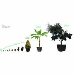 Viagrow 5 Gal. Nursery Pots 4.02 Gal/15.22 l/924 cu in. (6-Pack) -VAN ZYVERDEN shop black viagrow net pots vhpp500 6 77 1000
