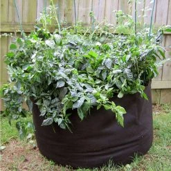 Viagrow 200 Gal.Aeration Raised Bed Planter with Handles -VAN ZYVERDEN shop black viagrow raised planter boxes v200gapot 1d 1000