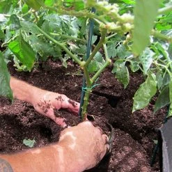 Viagrow 200 Gal.Aeration Raised Bed Planter with Handles -VAN ZYVERDEN shop black viagrow raised planter boxes v200gapot a0 1000