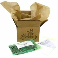 VAN ZYVERDEN Crocus Bulbs Saffron Crocus (Set of 15) 9 VAN ZYVERDEN Crocus Bulbs Saffron Crocus (Set of 15) -VAN ZYVERDEN shop van zyverden flower bulbs 21433 4f 1000