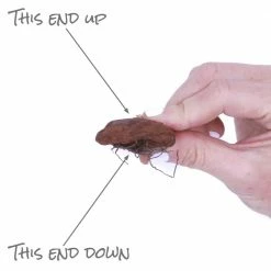 VAN ZYVERDEN Cyclamen Bulbs coum (Set of 5) -VAN ZYVERDEN shop van zyverden flower bulbs 21436 1f 1000