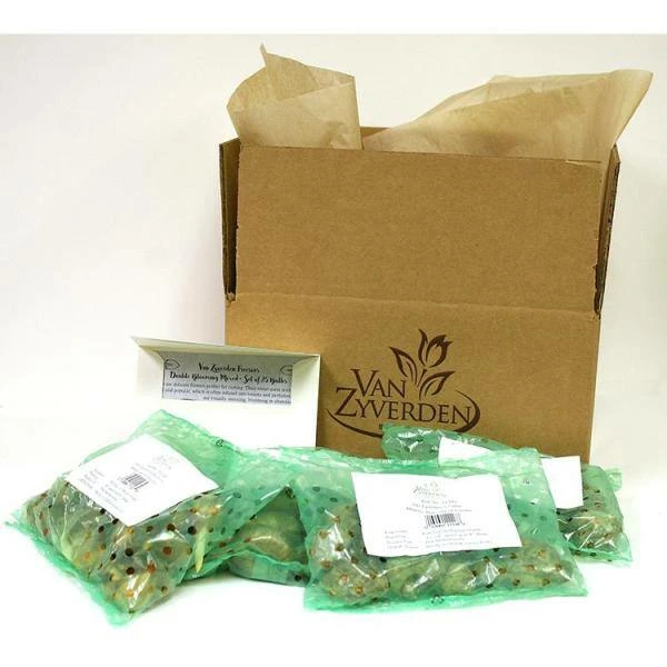 VAN ZYVERDEN Spring Time Favorites Bulbs Bulb Collection (Set of 75) 10 VAN ZYVERDEN Spring Time Favorites Bulbs Bulb Collection (Set of 75) - Image 8