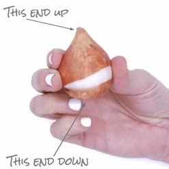 VAN ZYVERDEN Tulips Bulbs Dream Touch (Set of 12) 12 VAN ZYVERDEN Tulips Bulbs Dream Touch (Set of 12) -VAN ZYVERDEN shop van zyverden flower bulbs 21582 1f 1000