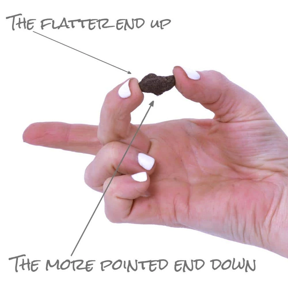 VAN ZYVERDEN Wind Flowers Bulbs Anemone Blanda Mixed (Set of 25) 6 VAN ZYVERDEN Wind Flowers Bulbs Anemone Blanda Mixed (Set of 25) - Image 4