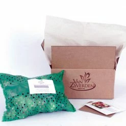 VAN ZYVERDEN Giant Allium Ambassador Set of 5 Mammoth Bulb -VAN ZYVERDEN shop van zyverden flower bulbs 87158 44 1000