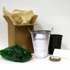 VAN ZYVERDEN Paperwhite Bulbs Kit With Artisan Decorative Planter (4-Pack) -VAN ZYVERDEN shop van zyverden flower bulbs 87221 4f 1000