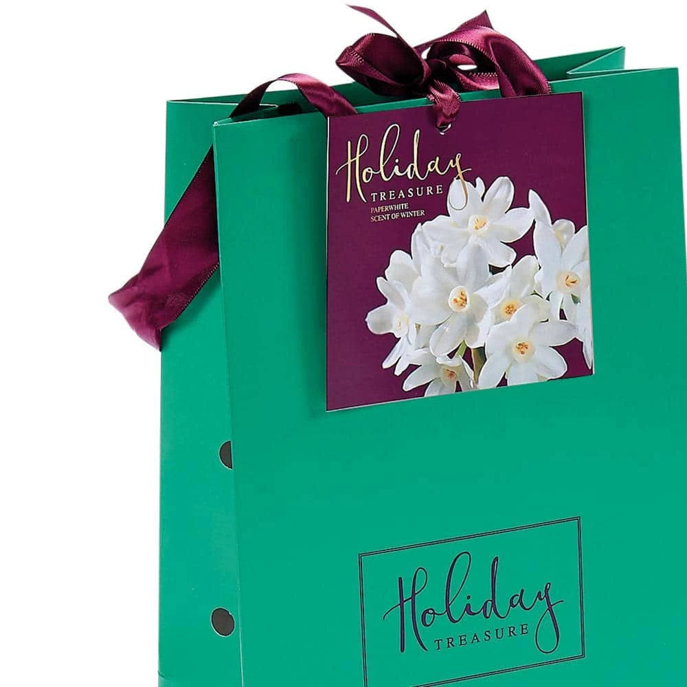 VAN ZYVERDEN Paperwhite Bulb in Emerald Gift Bag (6-Bulbs) 4 VAN ZYVERDEN Paperwhite Bulb in Emerald Gift Bag (6-Bulbs) - Image 2