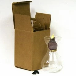 VAN ZYVERDEN Pink Hyacinth Kit with Clear Artisan Glass -VAN ZYVERDEN shop van zyverden flower bulbs 87285 4f 1000