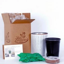 VAN ZYVERDEN Paperwhite Kit with White Chalk Metal Cachepot Bulbs (4-Pack) -VAN ZYVERDEN shop van zyverden flower bulbs 87302 fa 1000