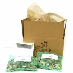 VAN ZYVERDEN Daffodils Classic Improved King Alfred Type (Set of 25 Bulbs) 11 VAN ZYVERDEN Daffodils Classic Improved King Alfred Type (Set of 25 Bulbs) -VAN ZYVERDEN shop van zyverden flower bulbs 87386 4f 1000