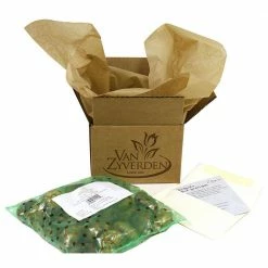 VAN ZYVERDEN Daffodils Tahiti Bulbs (12-Pack) -VAN ZYVERDEN shop van zyverden flower bulbs 88102 1f 1000