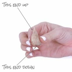 VAN ZYVERDEN Grand Freesia and Ranunculus Blend Bulbs (75-Pack) -VAN ZYVERDEN shop van zyverden flower bulbs 88250 44 1000