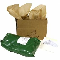 VAN ZYVERDEN Iris Siberica Claret Cup Bulbs (3-Pack) -VAN ZYVERDEN shop van zyverden flower bulbs 88320 4f 1000