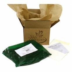 VAN ZYVERDEN Astilbe Top Choice Cake Mixture Bulbs (5-Pack) -VAN ZYVERDEN shop van zyverden flower bulbs 88341 76 1000