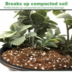 Viagrow 5 kg Coir Block With 1 Cubic Ft Horticultural Perlite (Makes 3.4 cu. Ft./25.4 Gal./101 Qts) 14 Viagrow 5 kg Coir Block With 1 Cubic Ft Horticultural Perlite (Makes 3.4 cu. Ft./25.4 Gal./101 Qts) -VAN ZYVERDEN shop viagrow grow media vccb5 vper1 66 1000