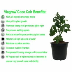 Viagrow 1.4 lbs./650g Premium Coco Coir, Soilless Grow Media, Coconut Coir Brick (6-Pack) -VAN ZYVERDEN shop viagrow grow media vccb650 6 a0 1000