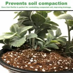 Viagrow 1.7 cu. ft. Coco Coir Plus Perlite Premium Grow Media -VAN ZYVERDEN shop viagrow grow media vccp50 40 1000