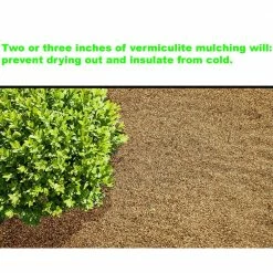 Viagrow 4 cu. ft./29.9 Gal./113 l Horticultural Vermiculite 15 Viagrow 4 cu. ft./29.9 Gal./113 l Horticultural Vermiculite -VAN ZYVERDEN shop viagrow grow media ver4 66 1000