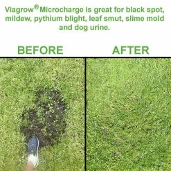 Viagrow 10 oz. Micro Charge/50g Per Pack (3-Pack) 10 Viagrow 10 oz. Micro Charge/50g Per Pack (3-Pack) -VAN ZYVERDEN shop viagrow grow media vmc150 a0 1000