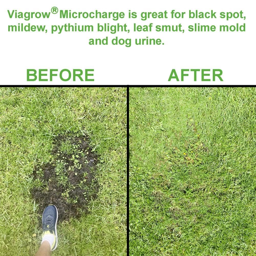 Viagrow 10 oz. Micro Charge/50g Per Pack (3-Pack) 6 Viagrow 10 oz. Micro Charge/50g Per Pack (3-Pack) - Image 4