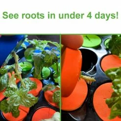 Viagrow 10 oz. Micro Charge/50g Per Pack (12-Pack) 11 Viagrow 10 oz. Micro Charge/50g Per Pack (12-Pack) -VAN ZYVERDEN shop viagrow grow media vmc600 1d 1000