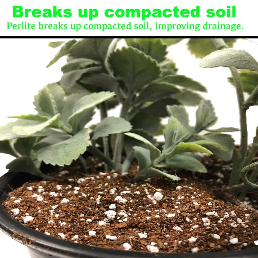 Viagrow 4 cu. ft. of Perlite (2-Pack) 4 Viagrow 4 cu. ft. of Perlite (2-Pack) - Image 2