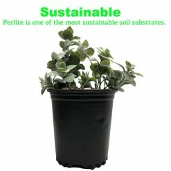 Viagrow 4 cu. ft. Perlite 16 Viagrow 4 cu. ft. Perlite -VAN ZYVERDEN shop viagrow grow media vper4 66 1000