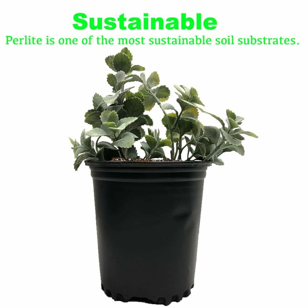 Viagrow 4 cu. ft. Perlite 8 Viagrow 4 cu. ft. Perlite - Image 6