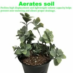 Viagrow 4 cu. ft. Perlite 17 Viagrow 4 cu. ft. Perlite -VAN ZYVERDEN shop viagrow grow media vper4 77 1000