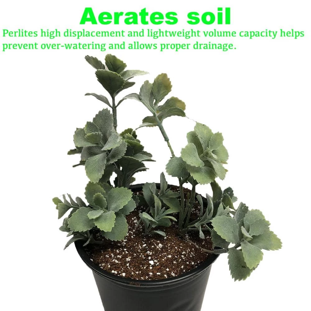 Viagrow 4 cu. ft. Perlite 9 Viagrow 4 cu. ft. Perlite - Image 7