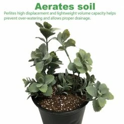 Viagrow 2 cu. ft. Perlite Coarse and Chunky Grade 59.8 Qt./56 L/15 Gal./7.26 Kg -VAN ZYVERDEN shop viagrow grow media vperch1 2 1d 1000