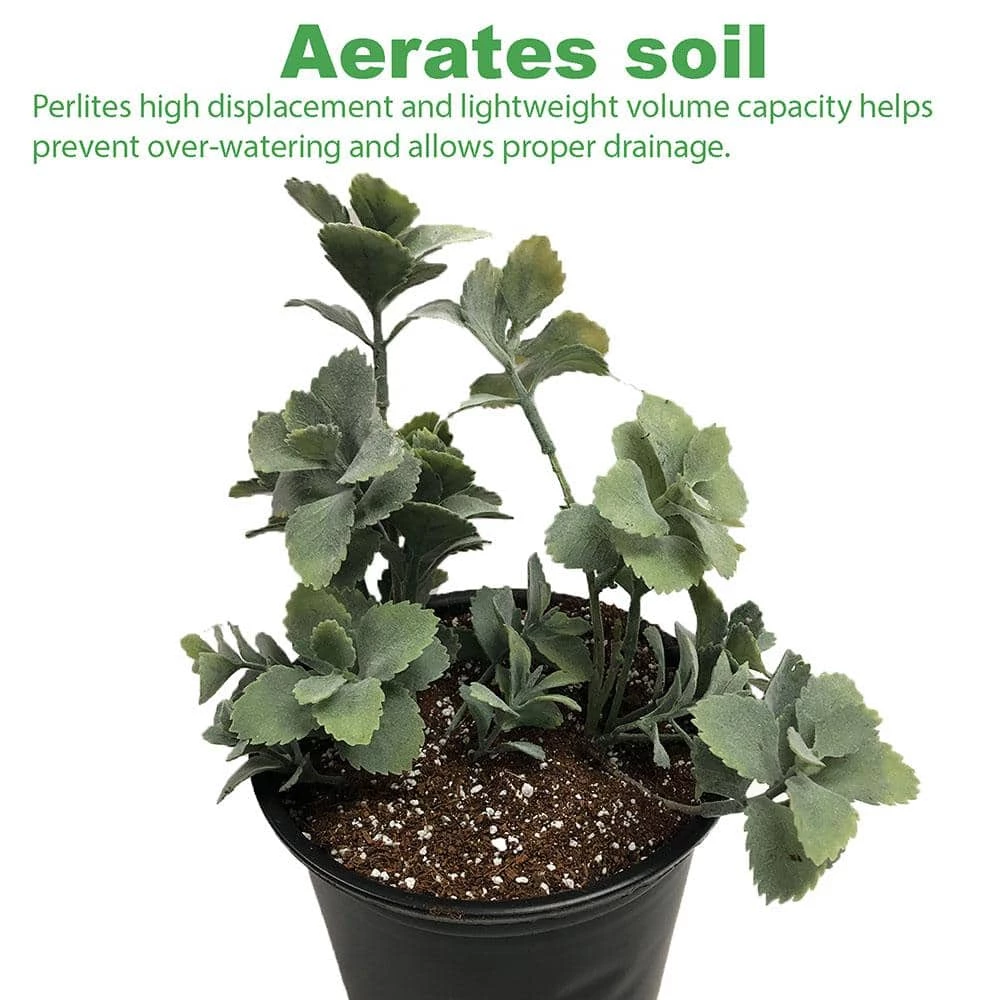 Viagrow 29 Quarts, 1 cu. ft. Organic Perlite Planting Soil Additive and Growing Medium White 4 Viagrow 29 Quarts, 1 cu. ft. Organic Perlite Planting Soil Additive and Growing Medium White - Image 2