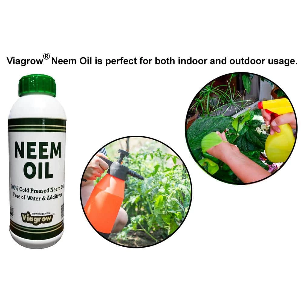 Viagrow 32 oz. Cold Pressed Neem Oil Seed Extract (Makes 48 Gal.) 6 Viagrow 32 oz. Cold Pressed Neem Oil Seed Extract (Makes 48 Gal.) - Image 4