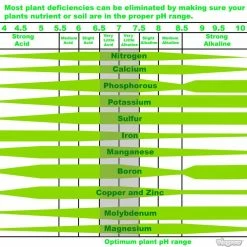Viagrow 1 Gal. pH Liquid Up (Base) -VAN ZYVERDEN shop viagrow plant flower disease control vgpu510 1d 1000