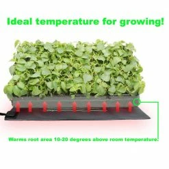 Viagrow 48 in. x 20.5 in. Quad Tray Heat Mat with Thermostat 15 Viagrow 48 in. x 20.5 in. Quad Tray Heat Mat with Thermostat -VAN ZYVERDEN shop viagrow planter accessories v4hmdt 66 1000