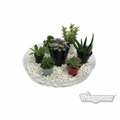 Viagrow 17.5 in. Clear Plastic Saucer (5-Pack) 13 Viagrow 17.5 in. Clear Plastic Saucer (5-Pack) -VAN ZYVERDEN shop viagrow planter saucers v17cs 5 1d 1000