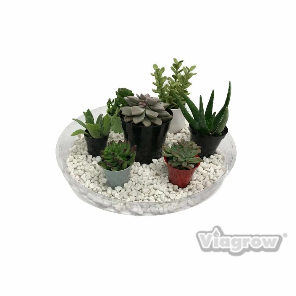 Viagrow 17.5 in. Clear Plastic Saucer (5-Pack) 7 Viagrow 17.5 in. Clear Plastic Saucer (5-Pack) - Image 5