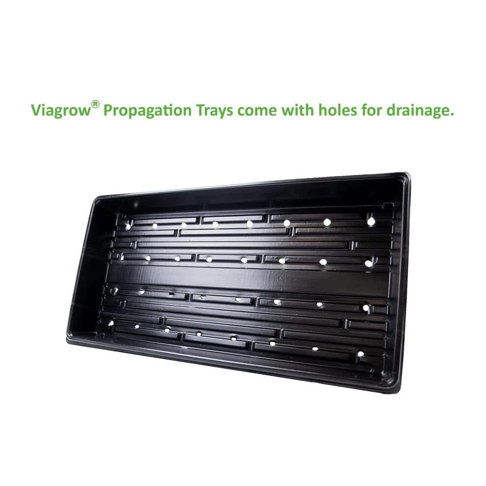 Viagrow 10 in. x 20 in. Propagation Starter Seedling Trays with Holes (20-Pack) 5 Viagrow 10 in. x 20 in. Propagation Starter Seedling Trays with Holes (20-Pack) - Image 3