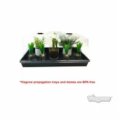 Viagrow Extra Strength Propagation Seed Starter Tray with Tall Dome, No Holes (5-Pack) 12 Viagrow Extra Strength Propagation Seed Starter Tray with Tall Dome, No Holes (5-Pack) -VAN ZYVERDEN shop viagrow seed starters v726298td 5 66 1000